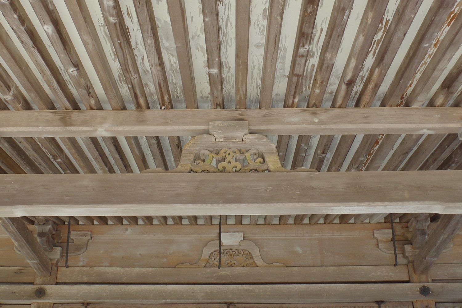 [奈文研コラム]ラクダとカエル