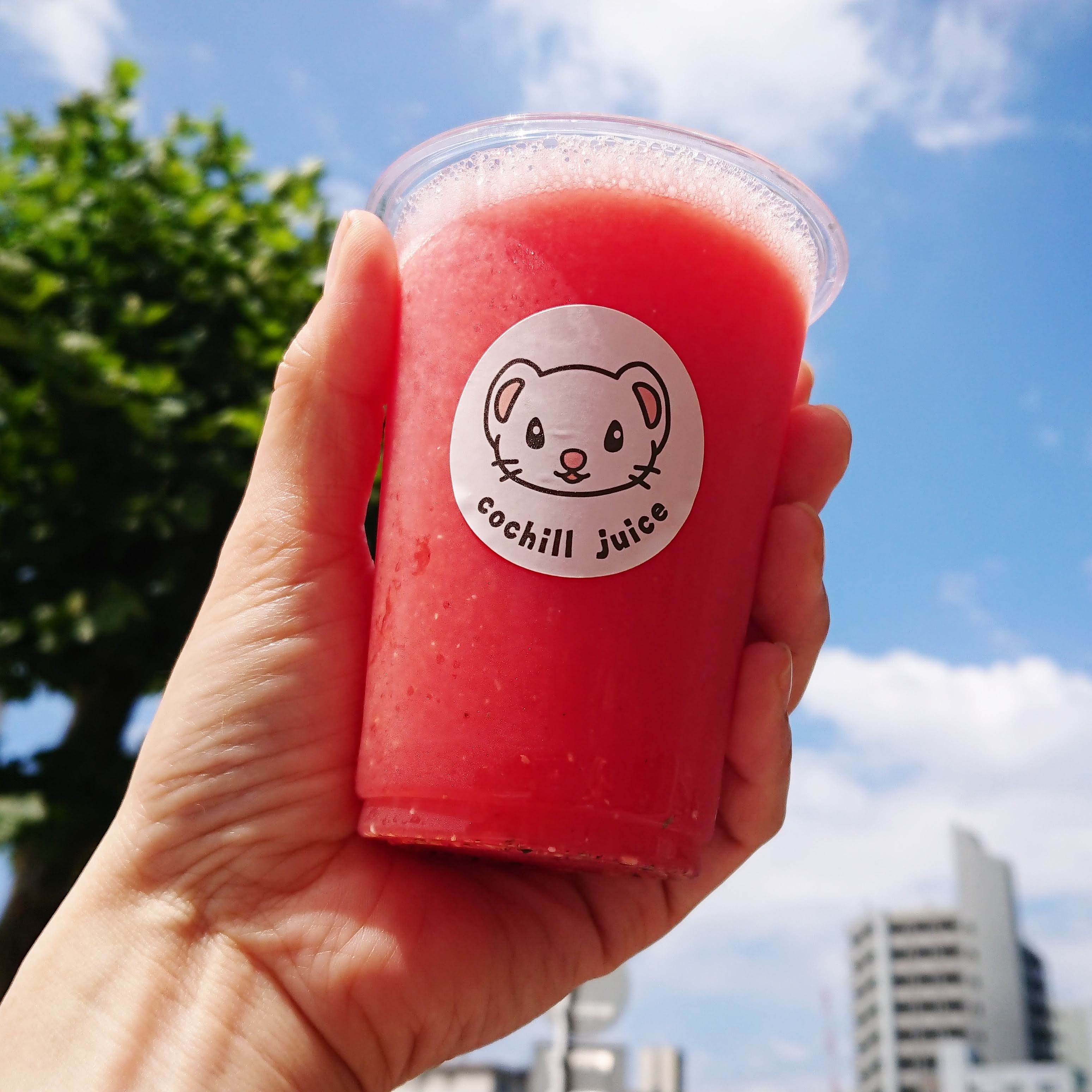 夏だ!スイカだ!!期間限定の100%スイカジュースが好評販売中!