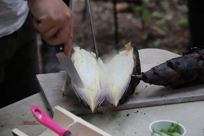 dapAv9vaoqCO5t3QgX04.jpg?w=940&h=940