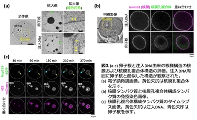 dbGTuFcC8vyGCLy8cpUz.jpg?w=940&h=940