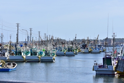 dbMI6OcHT8KURDYx0bpL.jpg?w=940&h=940