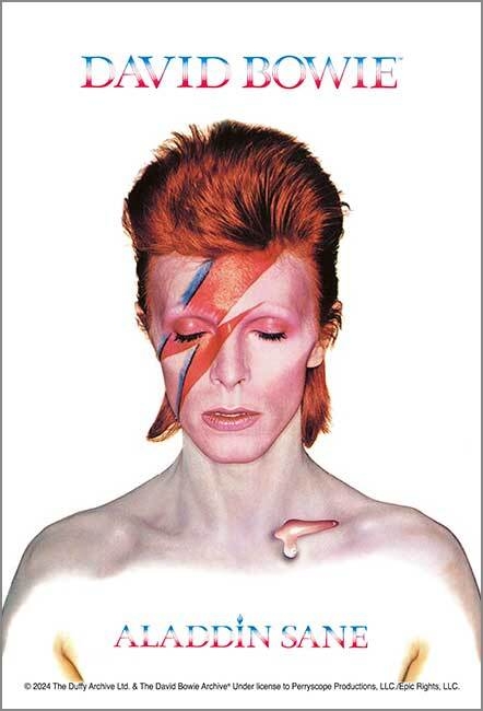 120-016 ALADDIN SANE (David Bowie)