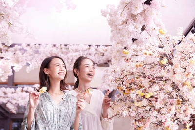 dcGnuh0BFI7P2qj7sRQZ.jpg?w=940&h=940