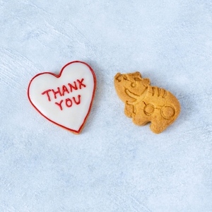 ddGNa8VFzoDkoW1vZzpm.jpg?w=940&h=940