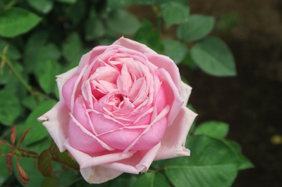 ddKDBOZp1sXulQRBvVDT.jpeg?w=940&h=940