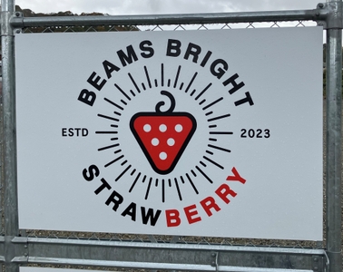 ddL6tqPxJMlov0DTY3Cy.jpg?w=940&h=940