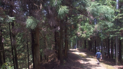 ddrbSbNtdwBnyvrKFfb8.jpg?w=940&h=940