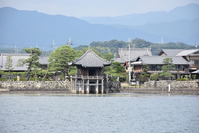 ddvEd1uchDrJEcFXP7S2.JPG?w=940&h=940