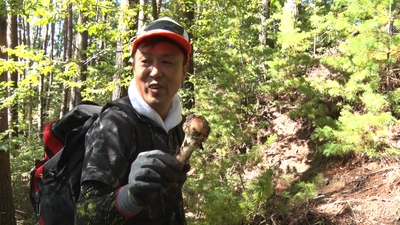 deG8muObaPorb6tFWOoR.jpg?w=940&h=940