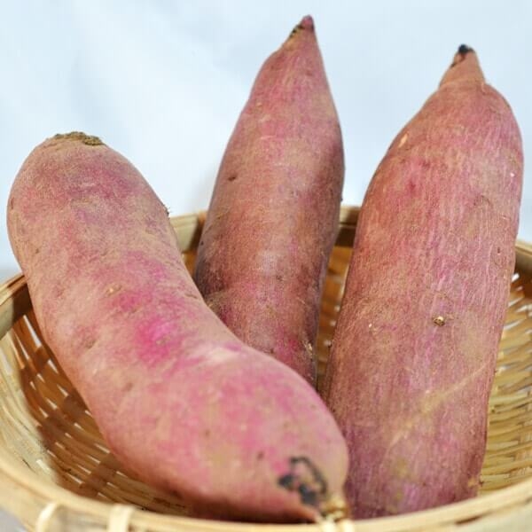 深作農園 さつまいも