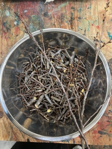 dfYjHWt5vunnckUI3mOC.jpg?w=940&h=940