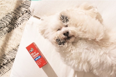 dgxnwOAkFpF1PAepdMUV.jpg?w=940&h=940