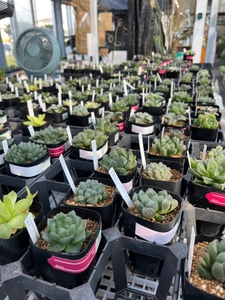 dh9DJOfpIHl0ko7Vidba.jpg?w=940&h=940