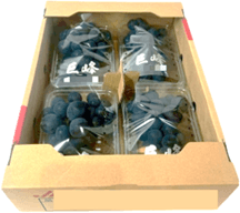 diX0DIW6aioNTOwX5xCh.png?w=940&h=940