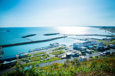 diXEy56IbDzsqRCIL79C.jpg?w=940&h=940