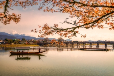 dji1JIcdKKEMyB1i0fvW.jpg?w=940&h=940