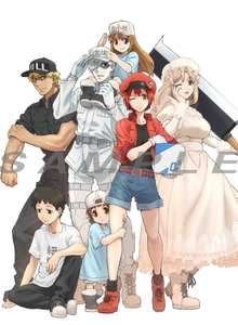 dlFZSU44gsjEhKwCk7D3.jpg?w=940&h=940