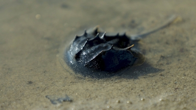 dlsn1jHPOO7uUWBgwZMj.jpg?w=940&h=940