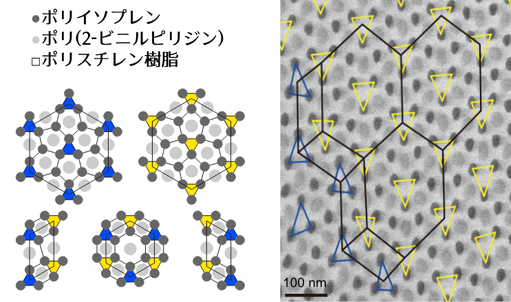 図4.複合高分子系の電子顕微鏡写真。黒丸はポリイソプレン、灰色丸はポリ(2-ビニルピリジン)を示す。これらの分子の間の白色の領域はポリスチレン樹脂によって占められている。