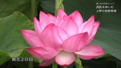 dpOXUefN31eTnrPtmz6R.jpg?w=940&h=940