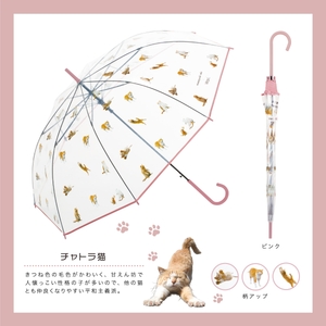 dpnDDu1fbkOo8LhNth6l.jpg?w=940&h=940