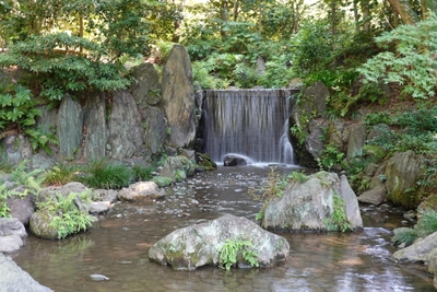 drTdkAsxJrgAdJ9ZDjf1.JPG?w=940&h=940