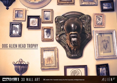 driD0yTF8ZmmRY4B4yap.jpg?w=940&h=940