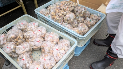 ds3CDmm2lRXQyDEySkLc.jpg?w=940&h=940