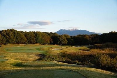 ds97Co39s3DvZziLgcTE.jpeg?w=940&h=940