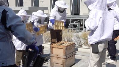 工作ワークショップ体験！都市養蜂を学べるイベントを6月14日（土）大阪で開催