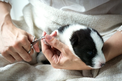 dssxjqlrlyv0l6zDA6yd.jpeg?w=940&h=940