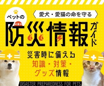 dstf0urgQAEZJ7M01q2G.jpg?w=940&h=940