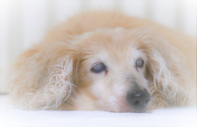 dsuR7ZQcwMUKFWD2tzz3.jpeg?w=940&h=940