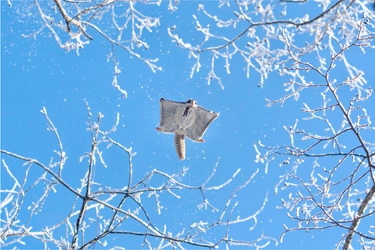 北海道撮影ポイントランキング製作委員会 「第8回北海道撮影ポイントランキング年間グランプリ展」を開催　 8月17日まで作品を募集・グランプリは賞金30万円！