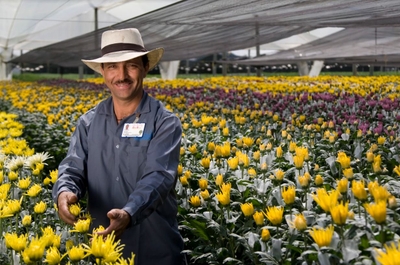 dtXppEUtO5KsTfpYDAlQ.jpg?w=940&h=940