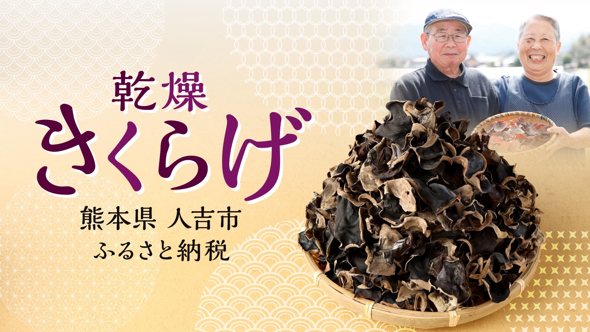 【熊本県人吉市ふるさと納税】食の安全と生産者の想いが詰まった「訳あり乾燥きくらげ」人吉市から全国へ