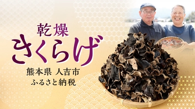 【熊本県人吉市ふるさと納税】食の安全と生産者の想いが詰まった「訳あり乾燥きくらげ」人吉市から全国へ
