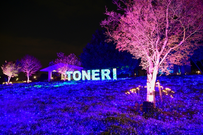 TONERIロゴのプロジェクションマッピング(4月4日テスト点灯時撮影)