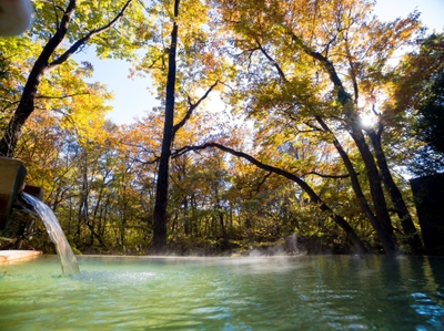 dwCVyNdN1D6dtzPRQ8fk.jpg?w=940&h=940