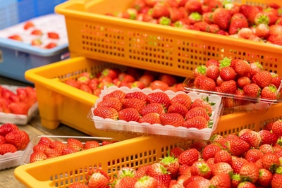 e0vwXv5fQXPugNxLViFC.jpg?w=940&h=940