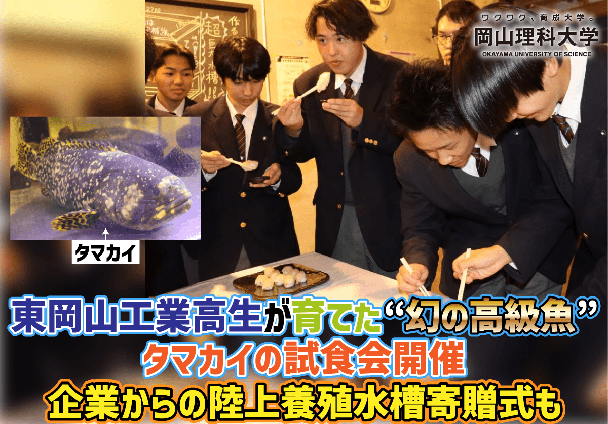 【岡山理科大学】東岡山工業高生が育てた“幻の高級魚”タマカイの試食会開催