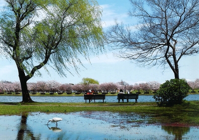 e1ygfJdLk02RMTMyuy3Q.jpg?w=940&h=940