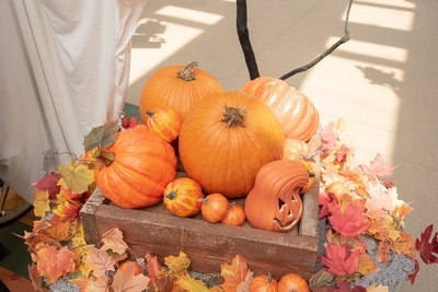 e2SCZKWd7NDC6fZDvBei.jpeg?w=940&h=940