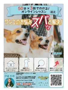 成犬　オンラインプログラム参加者募集‼︎