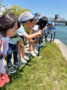 e518emR1h7mj4UP8VEEK.jpg?w=940&h=940