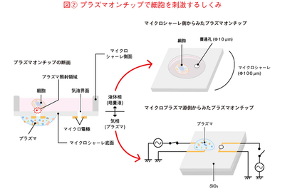 e53V21UTwWFs3q8fchDP.png?w=940&h=940