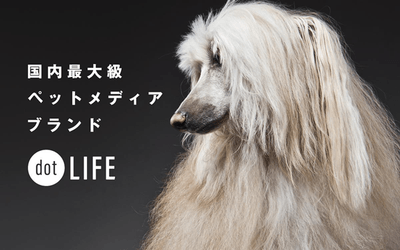 e672SJH9kooC7UcYAnZZ.png?w=940&h=940