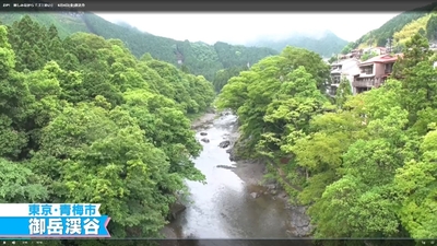 e81xpubE4oA4G91pq6dz.JPG?w=940&h=940