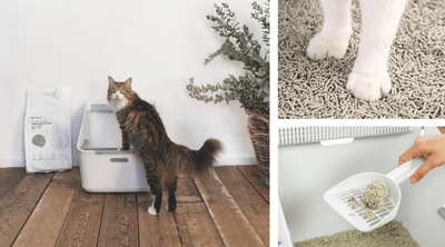 e88bI5EZfj1Kv9nd1NLm.png?w=940&h=940