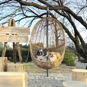 e96lzuX19SQpgiZTs5VH.jpg?w=940&h=940